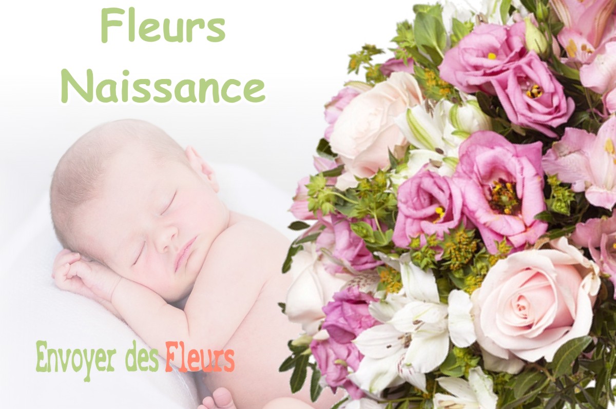 lIVRAISON FLEURS NAISSANCE à COURLANS